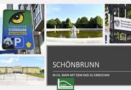 NÄHE SCHÖNBRUNN UND U4 HIETZING ! ANLAGE ! VERMIETETE 3 ZIMMER ALTBAUWOHNUNG DIREKT BEIM MATZNERPARK - JETZT ANFRAGEN