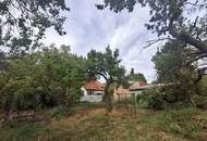 ,,Bauland und großer Obstgarten - Liegenschaft in Hornstein nahe Neufeldersee,,