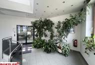 Großzügige Bürofläche - optimal geeignet für Speditionen - gute Anbindung nähe Knoten Schwechat