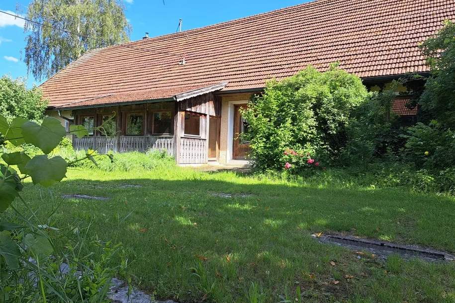 Wohn- und Gewerbeobjekt mit großem Nebengebäude, Haus-kauf, 550.000,€, 4720 Grieskirchen