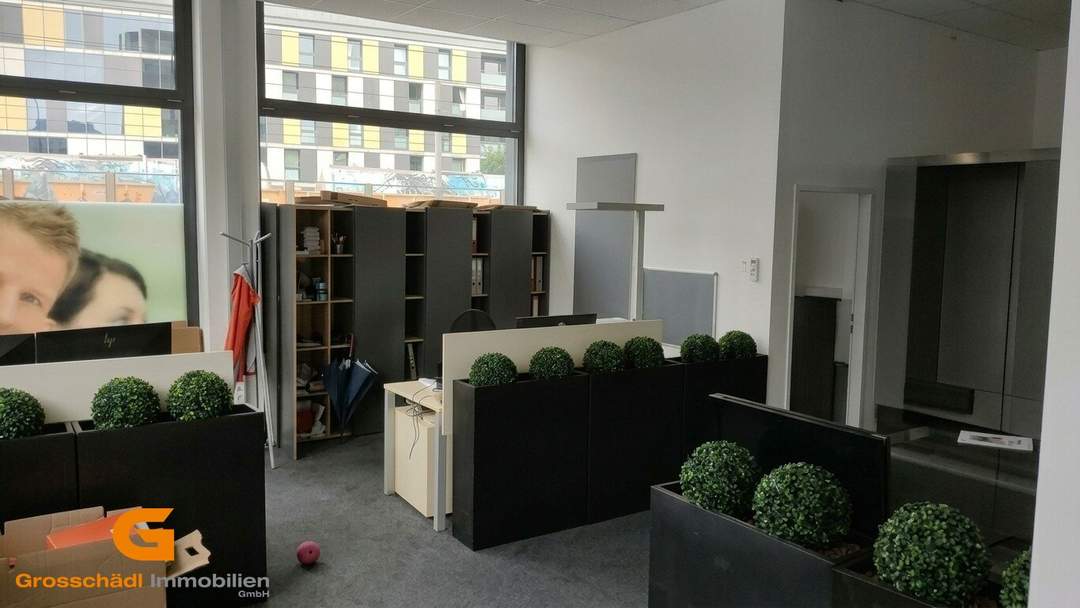 Salzburg Nord - Büro / Showroomflächen mit bester Sichtbarkeit mieten
