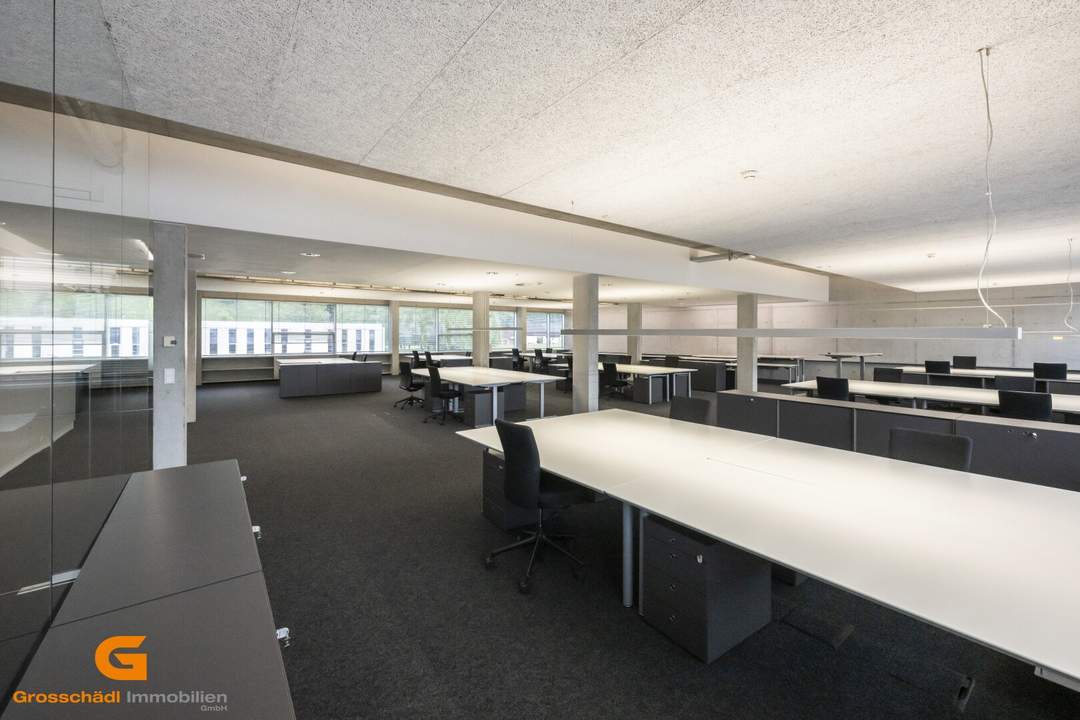 Business im Loftstyle – Büro mieten in Salzburg Süd