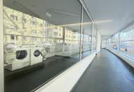 Beautiful and furnished 107 m² 4 room apartment with terracce for rent in 1210 Vienna located directly at the Obere Alte Donau!