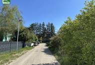 Einfamilienhaus im Grün-Idyll - Modernes Wohnen in der Neubau-Siedlung in Weinsteig, Großrußbach