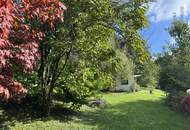 Einfamilienhaus mit großem Keller und traumhaftem Wald-Blick