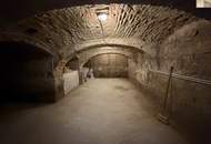 Gepflegtes, kleines Zinshaus in der Nähe des Schloßes mit charmantem Gewölbekeller und schönen Terrassen!
