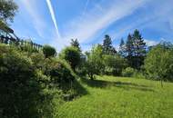 Beeindruckend schöne Villa - Natur, Licht und klare Formen