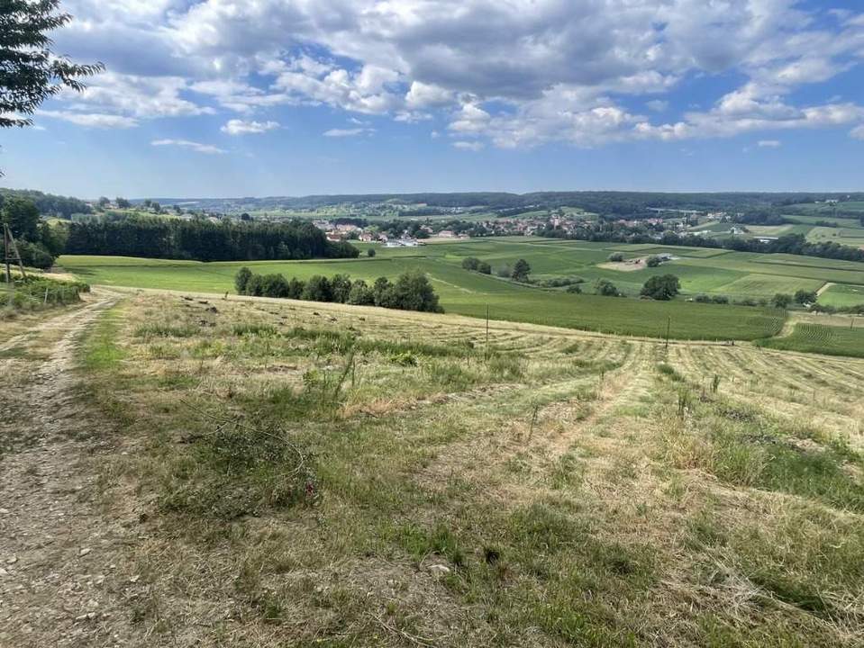 Bad Waltersdorf: Weinberge, Ackerflächen und Wald für experimentierfreudige Winzer oder Landwirte mit Vision