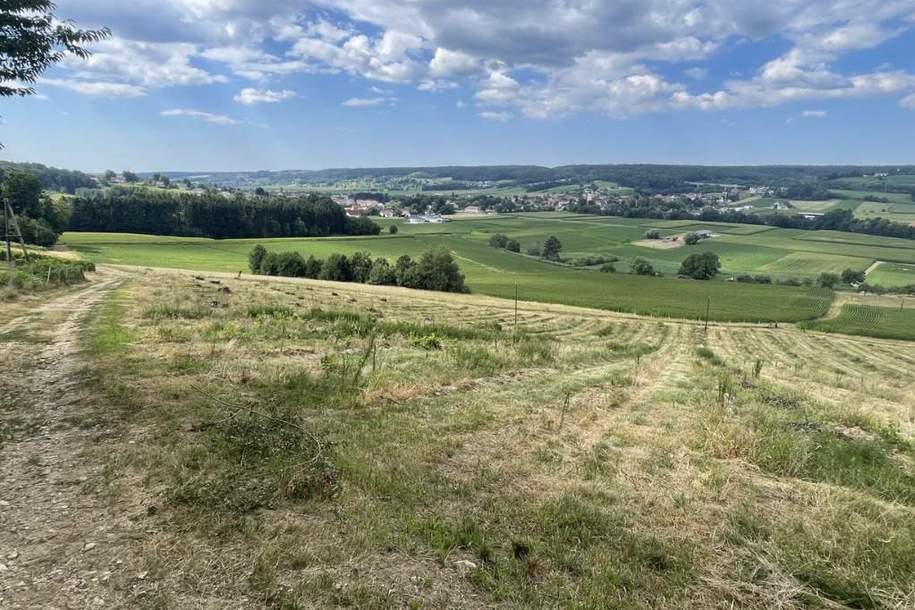 Bad Waltersdorf: Weinberge, Ackerflächen und Wald für experimentierfreudige Winzer oder Landwirte mit Vision, Grund und Boden-kauf, 698.000,€, 8272 Hartberg-Fürstenfeld