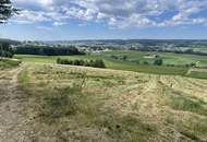 Bad Waltersdorf: Weinberge, Ackerflächen und Wald für experimentierfreudige Winzer oder Landwirte mit Vision