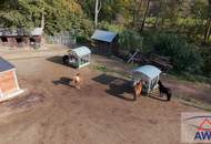 Mehrfamilien- oder Generationenhaus für Pferdeliebhaber!