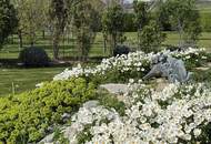 EINZIGARTIGES NATURPARADIES - GROSSZÜGIGER LANDSITZ WO PARKLANDSCHAFT AUF BLÜHENDE OBSTGÄRTEN TRIFFT