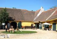 ERSTBEZUG VOR DEN TOREN WIENS - DOPPELHAUSHÄLFTE MIT STELLPLÄTZEN AUF EIGENGRUND