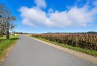 OPEN HOUSE Besichtigungen am 07.02.2026 gegen Terminvereinbarung! Naturverbunden leben: Gemütliches Einfamilienhaus in idyllischer Lage!