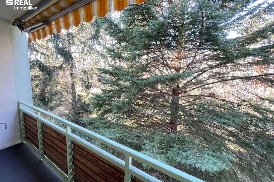 Gepflegte 3-Zimmer Familienwohnung mit Loggia in Grünruhelage, Wohnung-miete, 1.250,00,€, 2344 Mödling