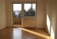 Charmante 4-Zimmer-Wohnung in Laxenburg mit Loggia & Garage um 279.000 €!