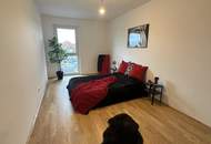 einen Katzensprung von Wien entfernt