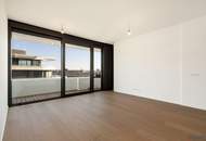 DANUBE FLATS II SETILICHER BLICK RICHTUNG DONAU und INNERE STADT II ca. 13m² BALKON II 7. STOCK II ERSTBEZUG II GARAGENPLATZ II IDEAL ALS INVESTMENT