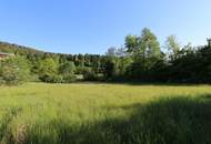 Baugrundstück mit See-Nähe und vielseitigen Nutzungsmöglichkeiten