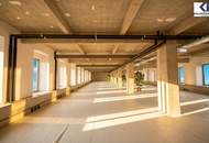 LOFT-BÜROS IM FABIANI-HAUS