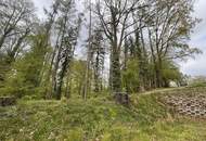 Ruhe, Natur & Komfort – 2-Zimmer-Wohnung mit Gartenidylle