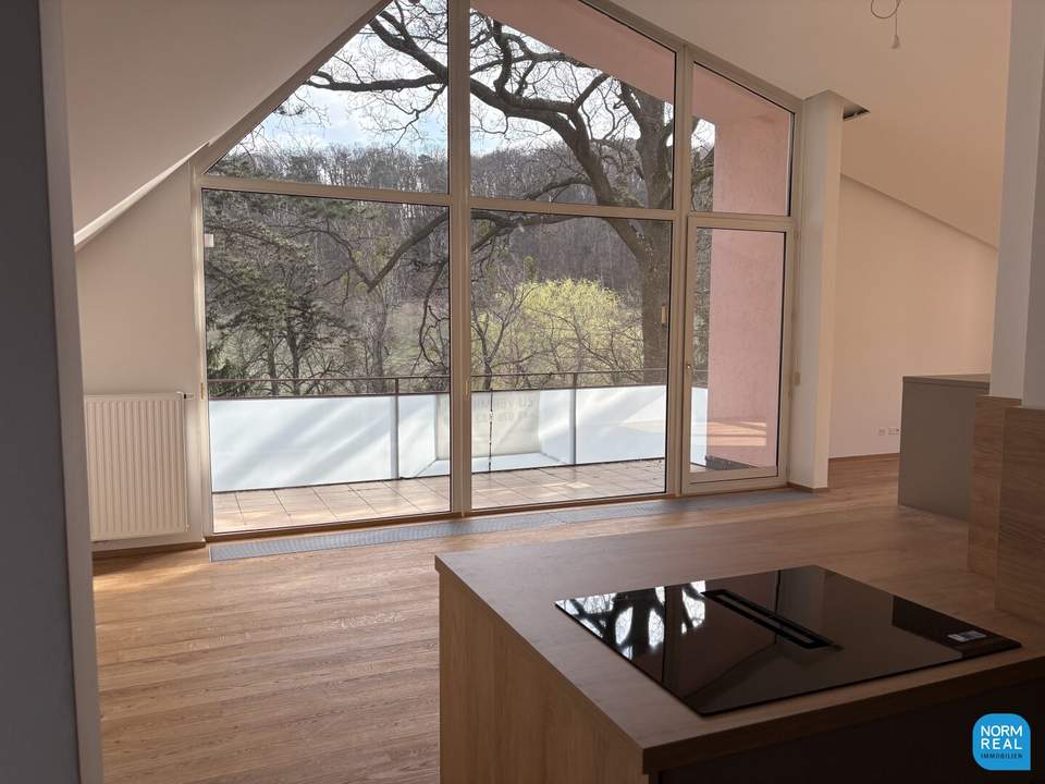 Dachgeschoss am Pötzleinsdorfer Park