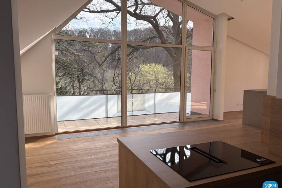 Dachgeschoss am Pötzleinsdorfer Park, Wohnung-miete, 3.501,84,€, 1180 Wien 17., Hernals