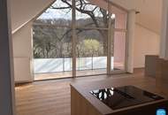 Dachgeschoss am Pötzleinsdorfer Park