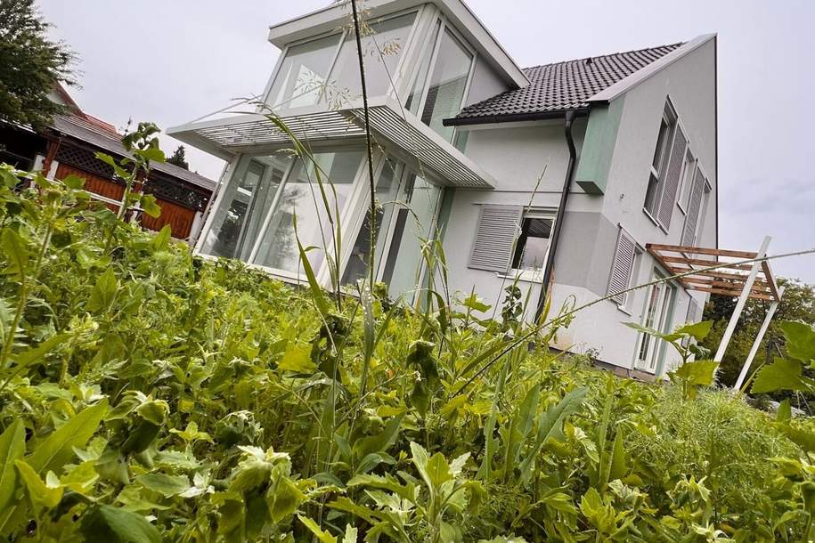 Modernes Einfamilienhaus mit großzügigen Glasfronten und wunderschöner Aussicht/Mietkauf Variante möglich/PROVISIONSFREI !!!, Haus-miete, 2.500,00,€, 2625 Neunkirchen