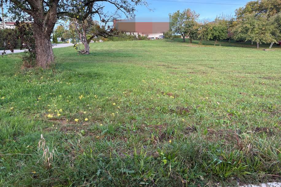 Baugrundstück ohne Bauverpflichtung, Grund und Boden-kauf, 75.000,€, 5271 Braunau am Inn