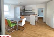 Mietwohnung, 3 Zimmer + Küche mit Essbereich + Balkon, in Linz Stadt