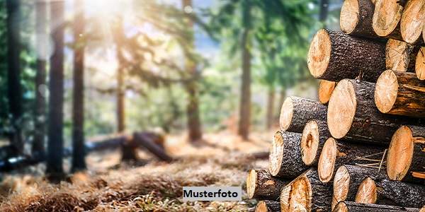 Forstwirtschaftsflächen + provisionsfrei +