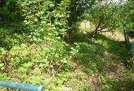 Charmantes Einfamilienhaus mit großem Naturgarten, Gewölbekeller und herrlichem Ausblick