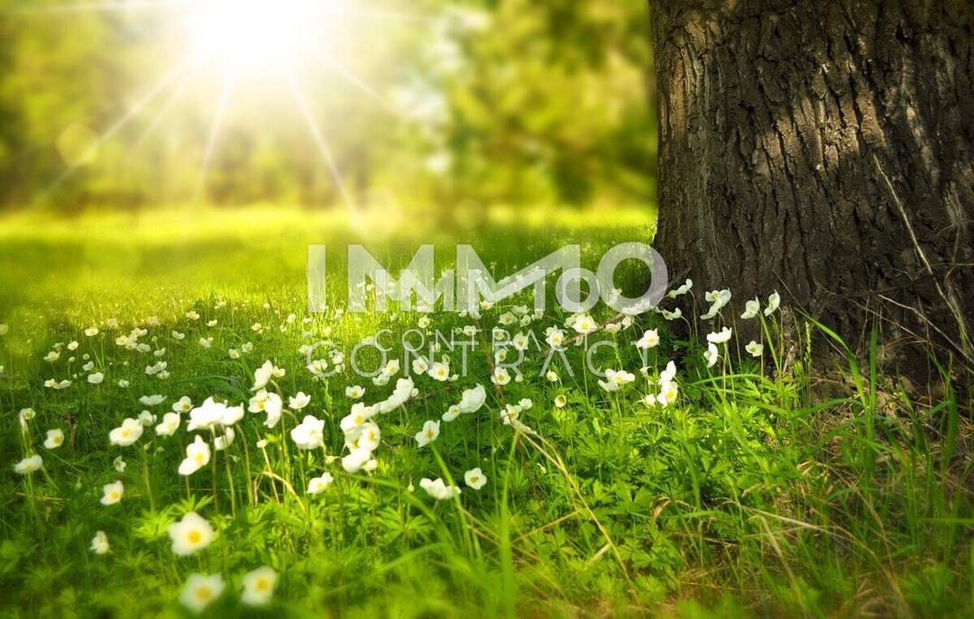 ***Preis-Hit****Schönes Grundstück mit Weitblick &amp; bestehendem Stromanschluss