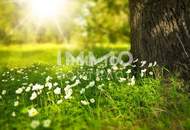 ***Preis-Hit****Schönes Grundstück mit Weitblick &amp; bestehendem Stromanschluss