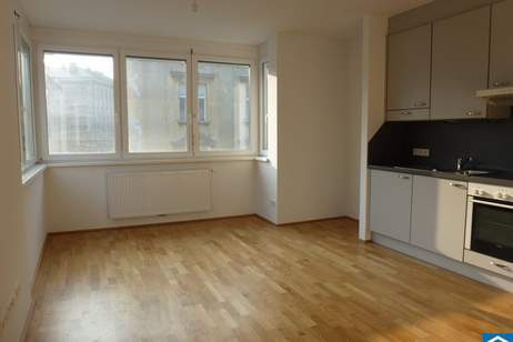 Schöne 2 Zimmerwohnung Nähe Schubertpark, Wohnung-miete, 999,00,€, 1180 Wien 18., Währing