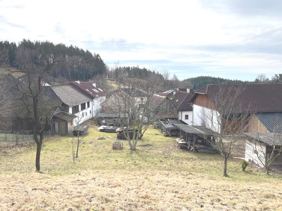Grundstück mit Altbestand in sehr ruhiger, dörflicher Lage