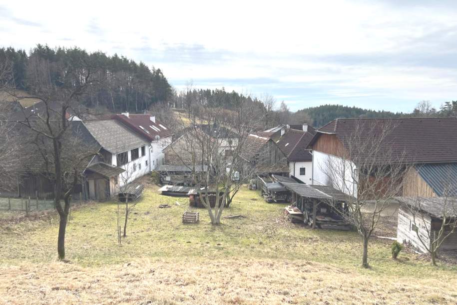 Grundstück mit Altbestand in sehr ruhiger, dörflicher Lage, Grund und Boden-kauf, 139.000,€, 4291 Freistadt