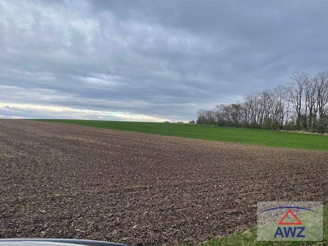 Eventuell mÃ¶gliches Bauhoffnungsland nahe dem Krankenhaus Hollabrunn!