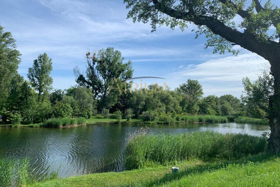 Baugrundstück auf EIGENGRUND mit vielen Möglichkeiten – Mühlwasser, Grund und Boden-kauf, 999.999,€, 1220 Wien 22., Donaustadt