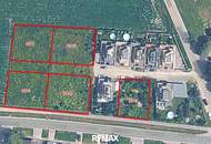 BAUGRÜNDE - Zwischen 580 m² und 716 m²
