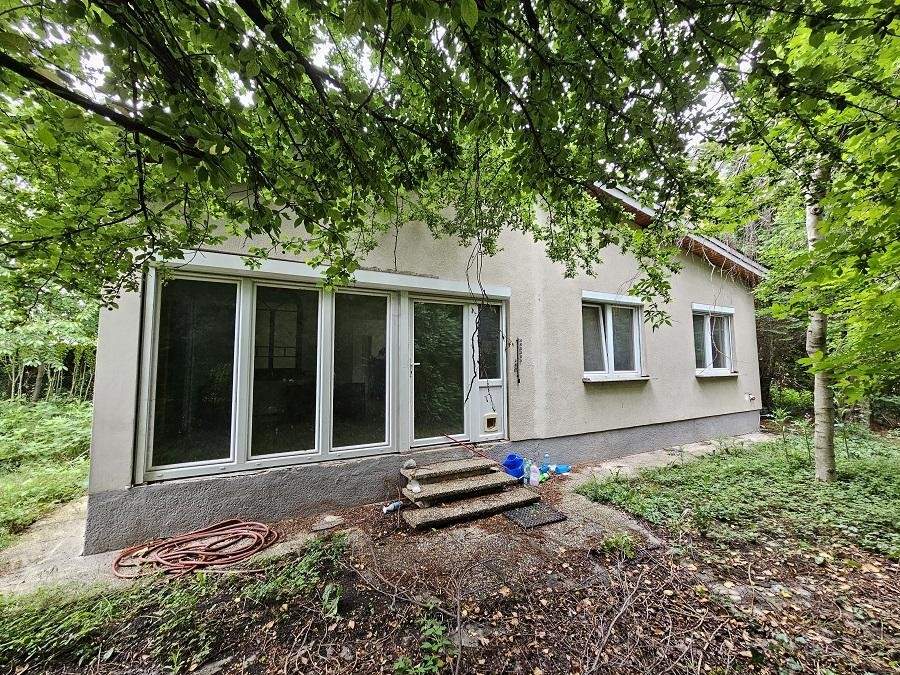 "SANIERUNGSPROJEKT MIT VIEL POTENZIAL | ca. 1.085 m² Grundstücksfläche | Ruhelage in Mitterndorf an der Fischa"