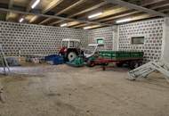 Traumanwesen in Alleinlage – 12.000 m² für Naturliebhaber und Pferdehalter