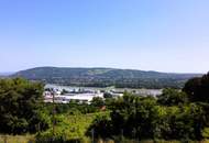 Die Donau im Blick