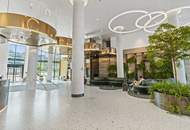 ++ SKYLINE PUR ++ Danube Flat LUXUS mit Video-Tour erleben