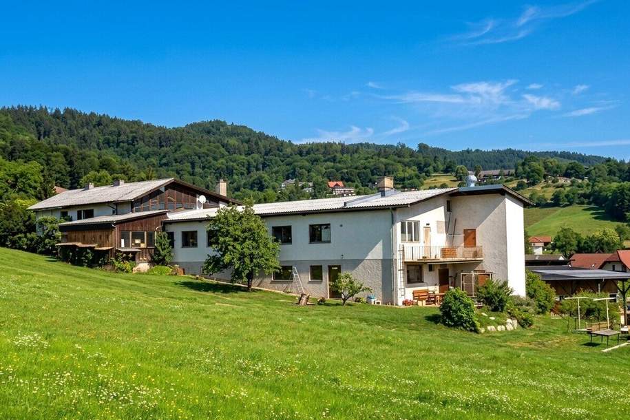 Wohnhaus samt "Handwerk mit Tradition!" oder vielseitig nutzbares Gewerbeobjekt, Haus-kauf, 550.000,€, 8051 Graz-Umgebung