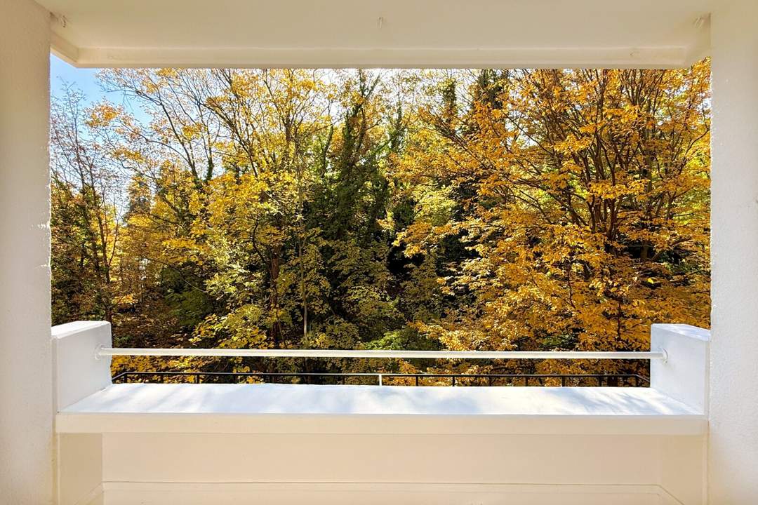 Idylle und Natur pur - Sehr gut aufgeteilte Wohnung mit Balkon in Grünruhelage