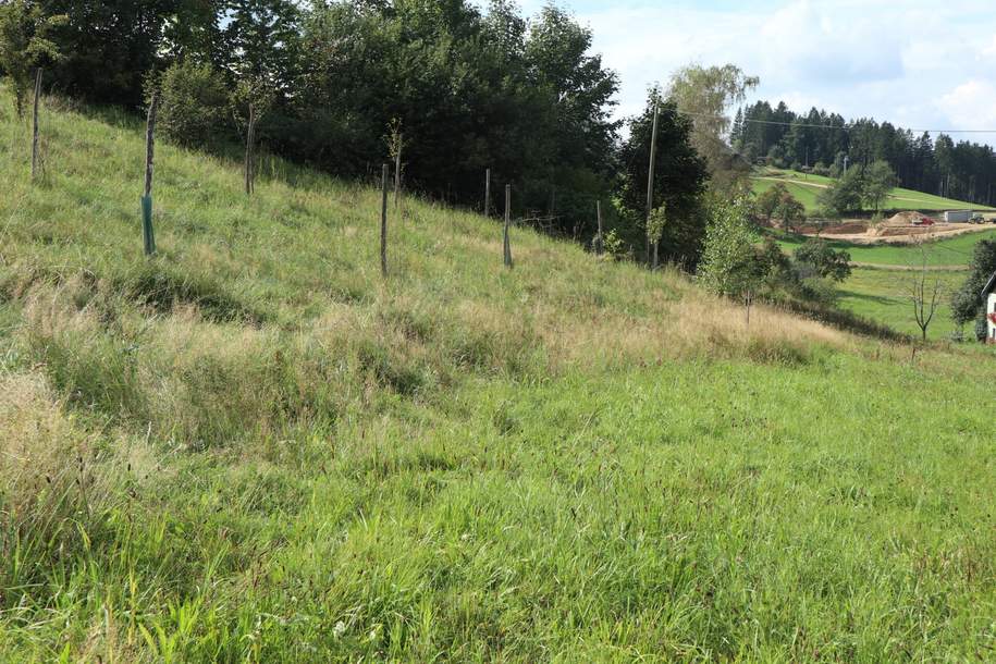 Baugrund in Siedlungslage, Grund und Boden-kauf, 39.558,€, 4372 Perg
