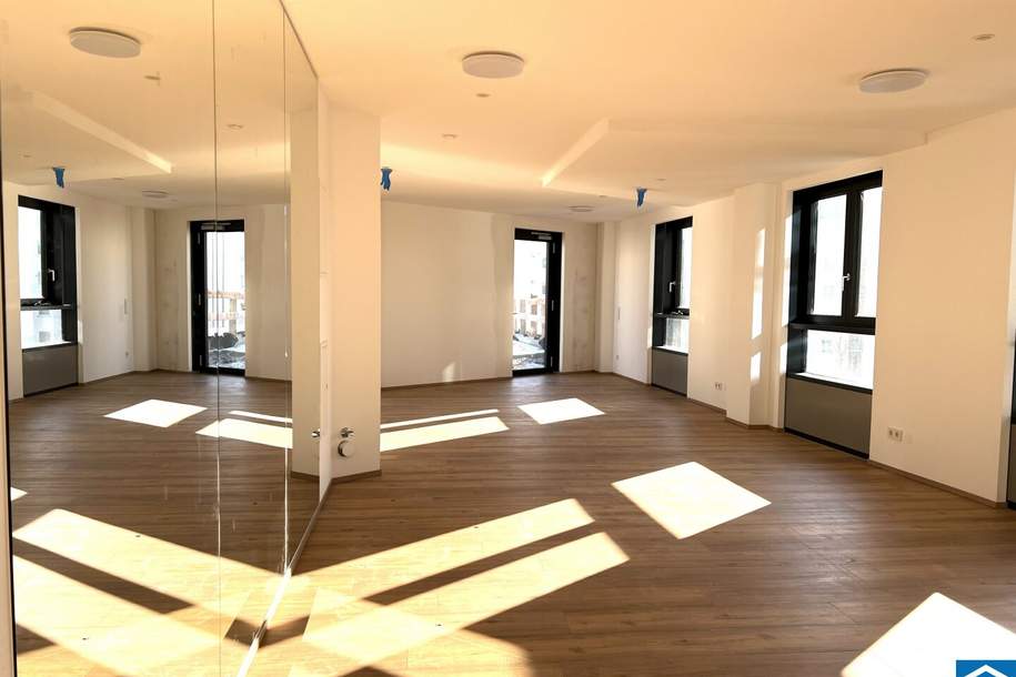 Urban Living mit Einbauküche & Loggia im 18.OG ++ 2 Zimmer-Wohnung ++, Wohnung-miete, 920,00,€, 4020 Linz(Stadt)