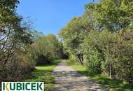 Generationenwohnung: 5 Zimmer + Studio + Garten